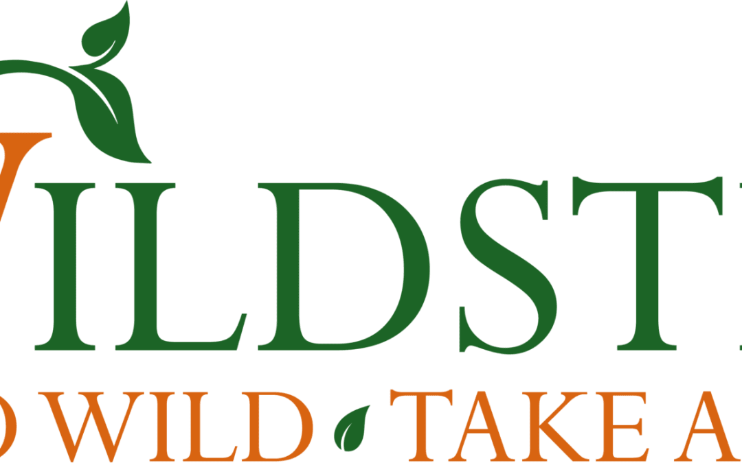 🌱 Introducing WildStep: A New Gloucestershire Company Taking Steps Towards a Greener Future 🌱